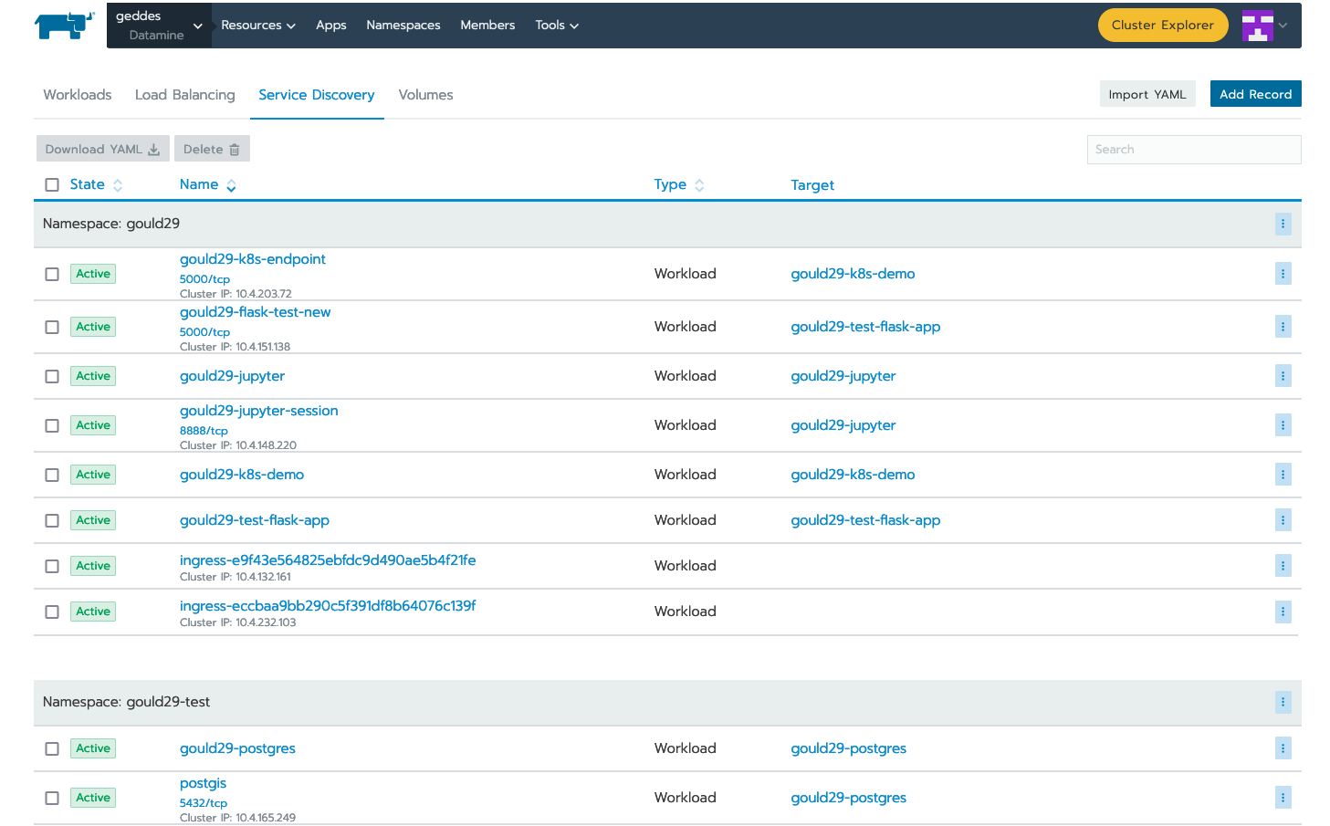 Showing the newley created example endpoint for the demo. The endpoint now displays an IP address.